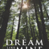 A Dream Like Mine