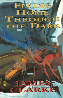 Flying Home Through The Dark